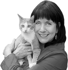 Cynthia Chomos Catiospaces Cat Enclosures 240