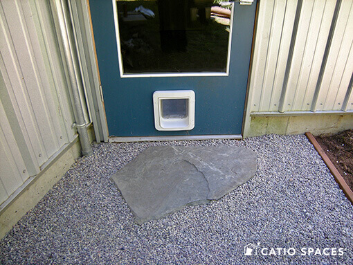 Door Cat Door Catiospaces Dscn8740 Wm