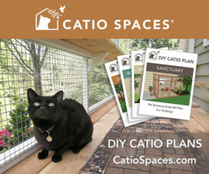 Catio diy plan