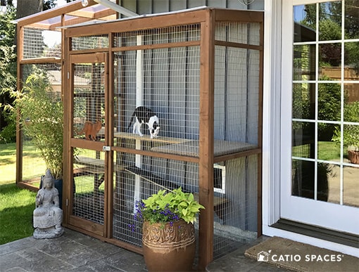 What Is A Catio? - Catio Spaces