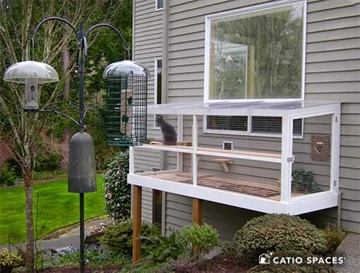 bird-safe Catio window box