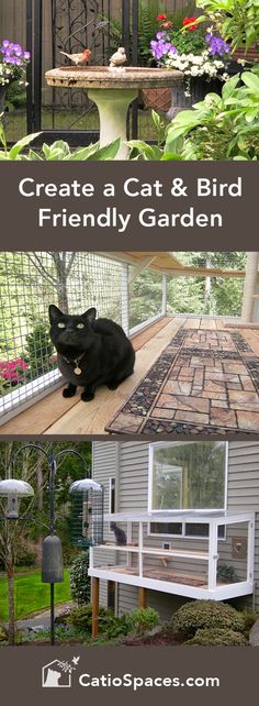 Whether your outdoor garden areas are large or small, with a little planning it’s easy to enhance them to protect both pets and wildlife. #catio #catenclosure #catpatio #diycatio #diycatenclosure #diycatpatio #buildacatio #buildcatenclosure #buildcatpatio #catwindowperch #catprojects #catwindowbox #catenrichment #catdiyprojects #cat #garden #birds #birdfriendlygarden