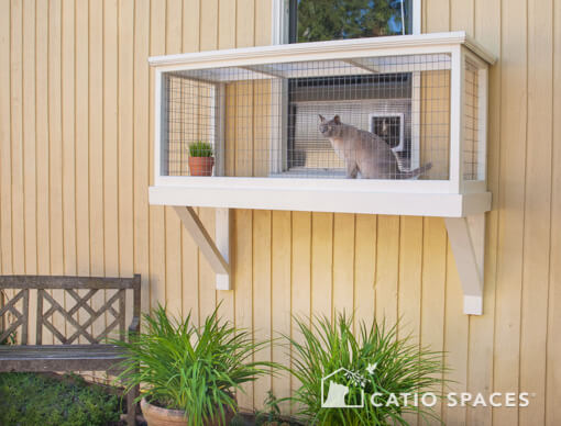 Cat on sale window basket