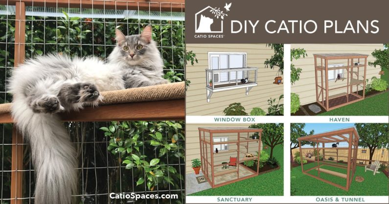 Diy Catio Plans