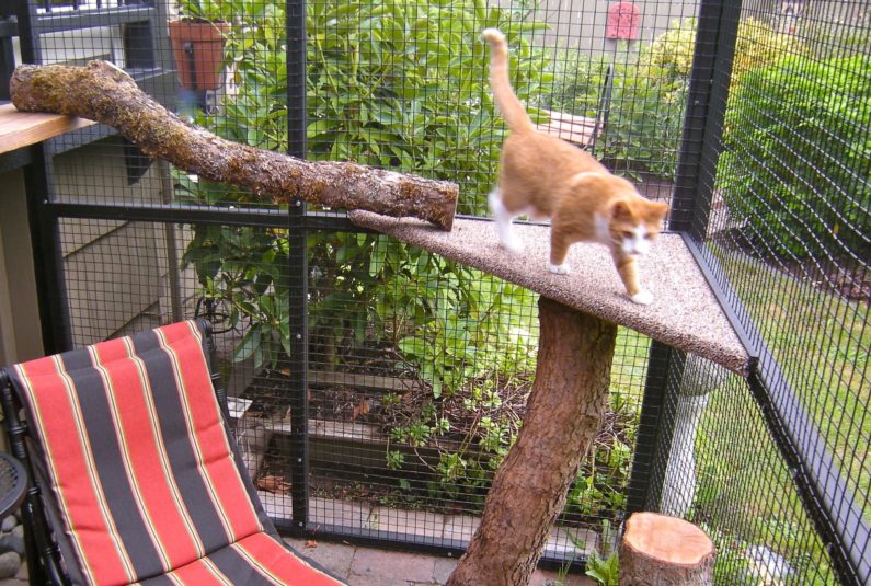 Catio Cat Enclosure 