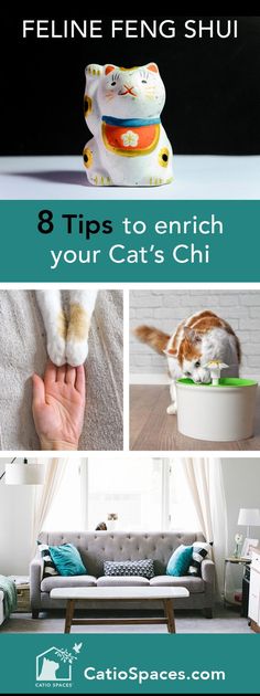 Does your home have good feng shui for your cat? Check out these 8 tips for creating positive energy for your favorite felines, indoors and out. #fengshui #catenrichment #catio #catenclosure #catpatio #homedesign #interiordesign #cathealth #catsafety #harmonioushome #felinefengshui #catprojects #cat #diycatio #diycatenclosure #diycatpatio #buildacatio #buildcatenclosure