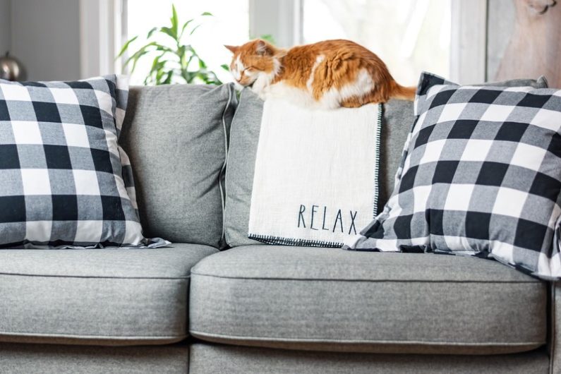 Relax Cat
