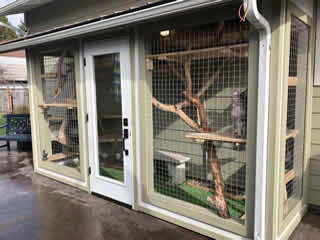 Catio Cat Enclosure Sage Green Color Catiospaces