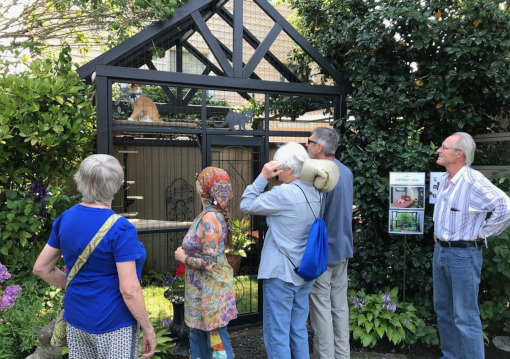 Seattle Catio Tour 2019