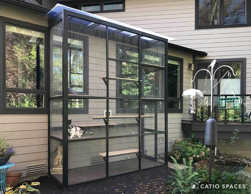 Catio