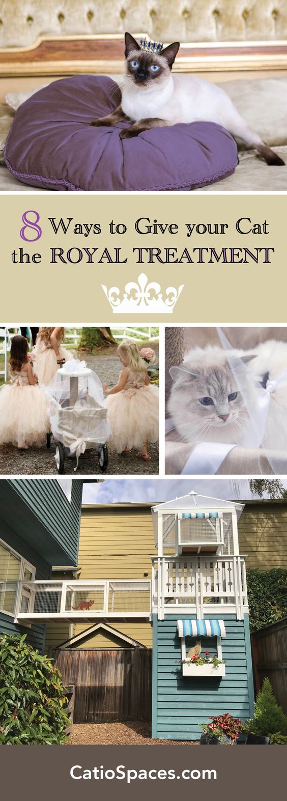 Throughout history, cats have been worshipped, treated like royalty and commanded our attention. Discover 8 ways to pamper your own cat. #catroyalty #catenrichment #catwedding #catio #catenclosure #catpatio #diycatio #diycatenclosure #diycatpatio #buildacatio #buildcatenclosure #buildcatpatio #catprojects #catdiyprojects