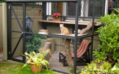 Custom built 2024 cat enclosures