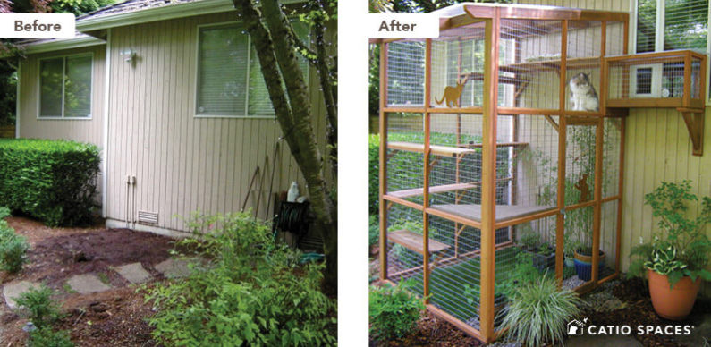 Catio Cat Enclosure Before After Beard Haven 