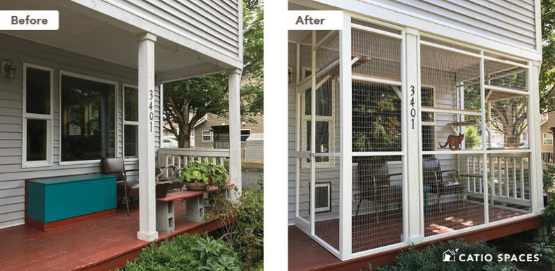 Catio Cat Enclosure Before After Davis Covered Deck Porch 