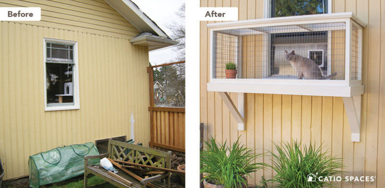 Catio Cat Enclosure Before After Earley Window