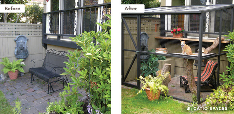 Catio Cat Enclosure Before After Serena Sanctuary 