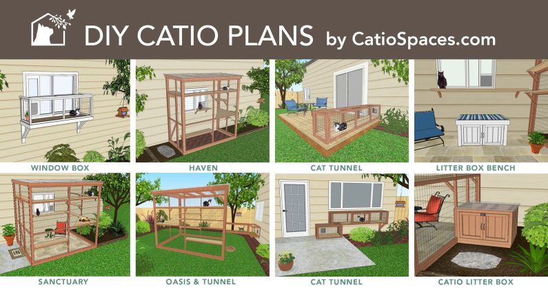 Catiospaces.com