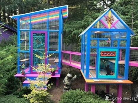 Cat Human - Playground