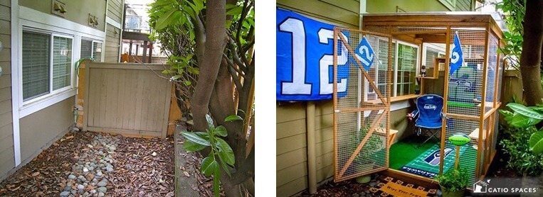 Seahawks Before After