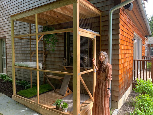 Cats in Quarantine Go Crazy for DIY Catios Catio Spaces