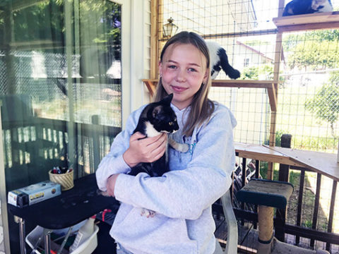 Cats in Quarantine Go Crazy for DIY Catios - Catio Spaces