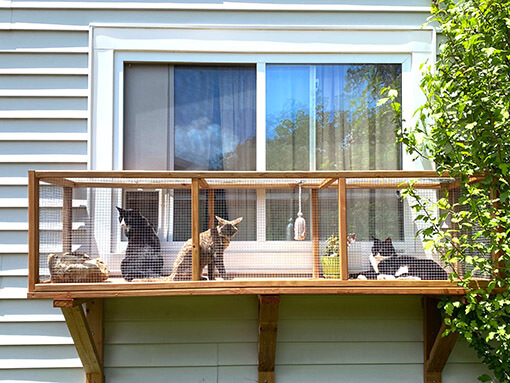 Outdoor window outlet catio