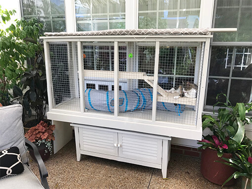 Cats in Quarantine Go Crazy for DIY Catios - Catio Spaces