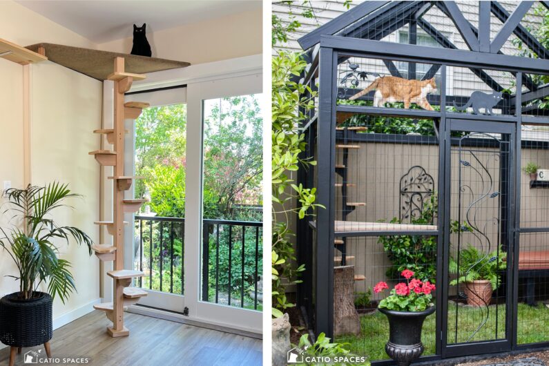 Cat Spiral Staircse Diy 2 Up Catio Exterior Wm Catiospaces.jpeg