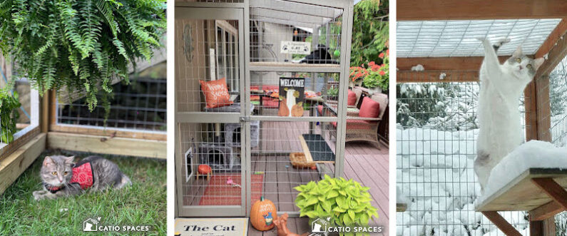 Catio Cat Seasons 3 Up Wm Catiospaces