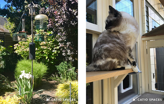 Catio Cat Enclosurebird 2up Birdfeeders Mimi Janey 2up Wm Catiospaces