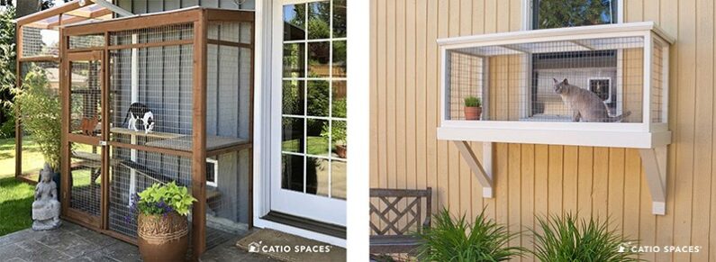 Catio Cats Enclosure Exteriror Window Patio Doors Catiospaces