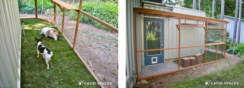 Catio Doggio Cat Enclosure 2 Up Interior Grass Exterior Back Catiospaces