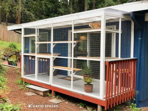 Timeshare Catios for Pets - Catio Spaces