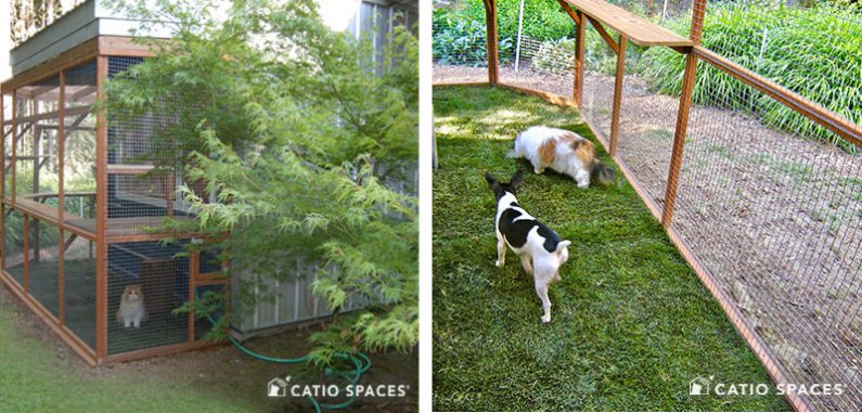 Catio Doggio 2up Walker Ext Grass Catiospaces