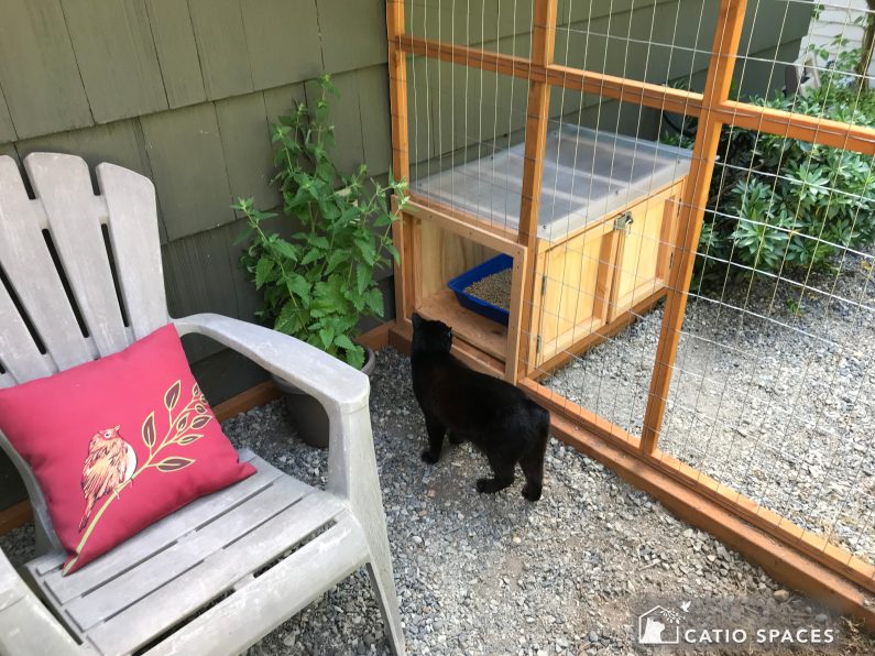 Cat scoops litter shop out of box