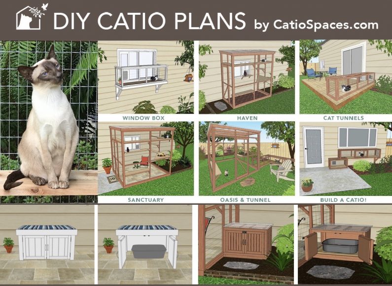 Catios Litter Boxes The Purr fect Equation Catio Spaces