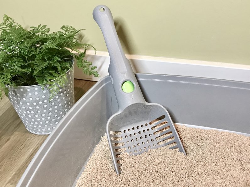 Litter Box Pan Scoop Plants Catiospaces