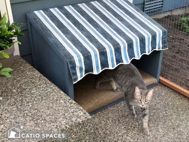 Catio Cat Cover Striped Awning Ground Wm Catiospaces (1)