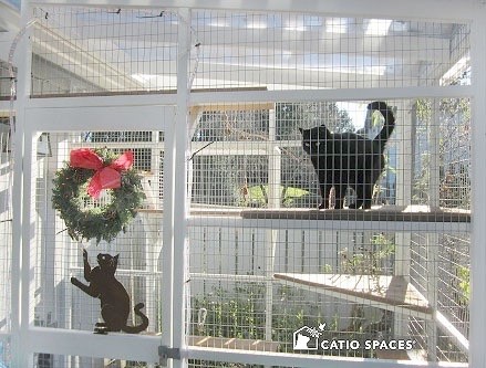Catio Winter Decor Wreath Black Cat Wm Catiospaces (2)