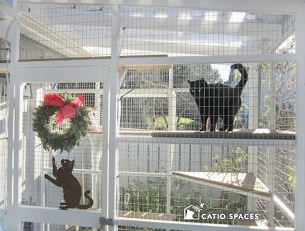 Catio mesh outlet