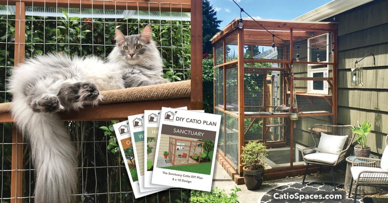 Diy Catio Plan Sanctuary 2 Up Sandstrom Catiospaces (1)