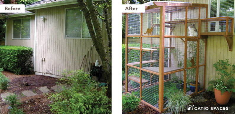 Catio Cat Enclosure Before After Beard Haven Catiospaces