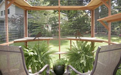 5 Tips to Refresh Your Catio for Spring