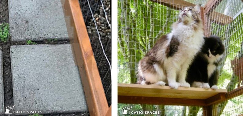 Catio Paver Permimeter Cat Escape Proof Topshelf Catiospaces.com