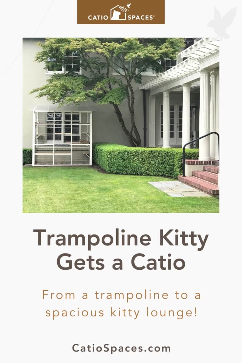 Trampoline Kitty Gets a Catio | A custom catio experience through Catio Spaces was the best option for this unique building site. The personal touches blended the catio with the existing home and enhanced their yard! Cat ownership is so much more pleasant and stress-free when you live life in a catio!