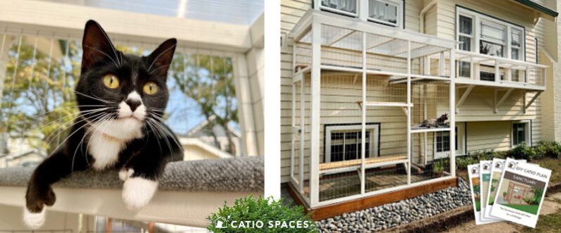 Nico Catio Cat Catio Window 2 Up Fan Catiospaces Com. (1)