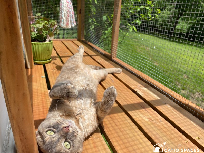 Catio balcony hotsell