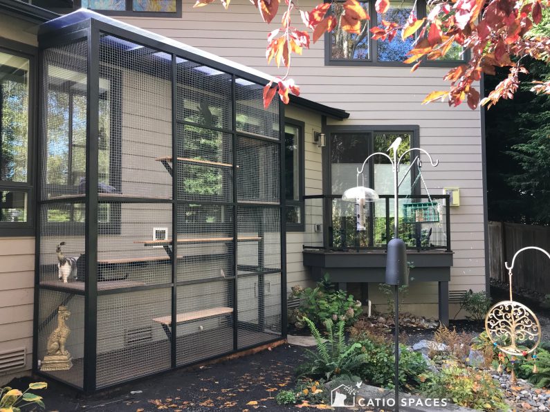 Diy Catio Plan Haven Painted Black Blankenship Wm Catiospaces