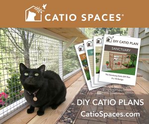 Diy Catio Plans Small Spaces Gink Cat Inside Window Catio Catiopsaces