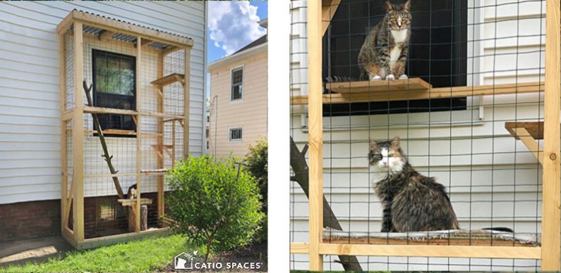 Diy Haven Catio Plan Outdoor Cat Enclosure Wm Quar Sarifan Catiospaces